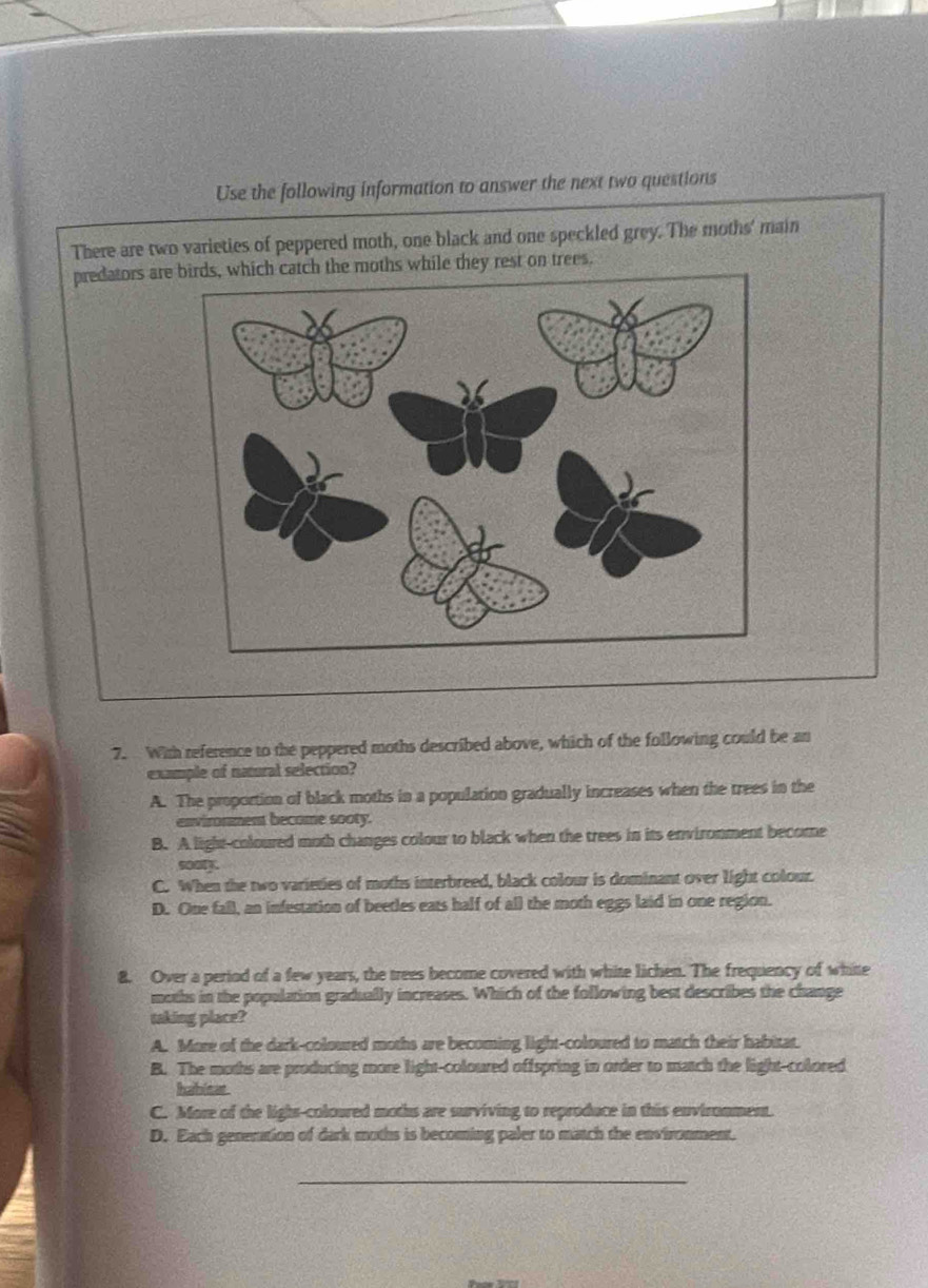 Use the following information to answer the next two questions
There are two varieties of peppered moth, one black and one speckled grey. The moths' main
predators are birds, which catch the moths while they rest on trees.
7. With reference to the peppered moths described above, which of the following could be an
example of natural selection?
A. The proportion of black moths in a population gradually increases when the trees in the
environment become sooty.
B. A light-coloured moth changes colour to black when the trees in its environment become
sool.
C. When the two varieties of moths interbreed, black colour is dominant over light colour.
D. One fall, an infestation of beetles eats half of all the moth eggs laid in one region.
8. Over a period of a few years, the trees become covered with white lichen. The frequency of white
moths in the population gradually increases. Which of the following best describes the change
taking place?
A. More of the dark-coloured moths are becoming light-coloured to match their habitat.
B. The moths are producing more light-coloured offspring in order to match the light-colored
habieat
C. More of the lighs-coloured moths are surviving to reproduce in this environment.
D. Each generation of dark moths is becoming paler to match the environment.
_