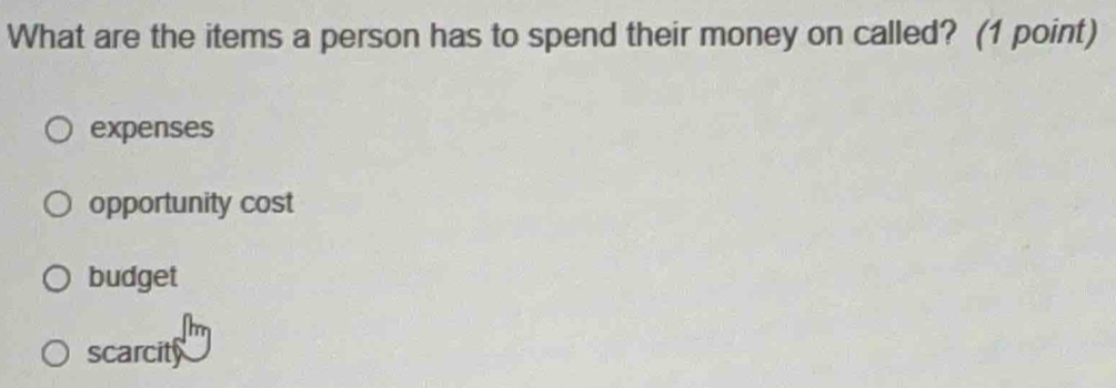 What are the items a person has to spend their money on called? (1 point)
expenses
opportunity cost
budget
scarcity