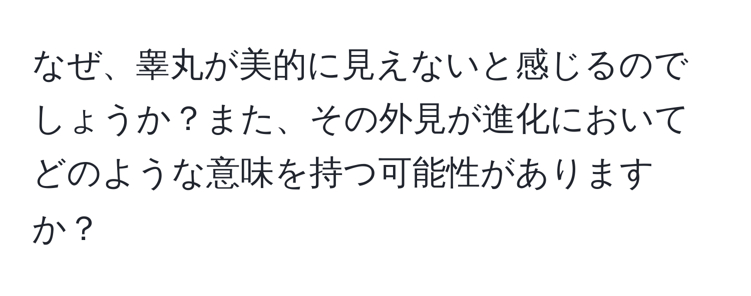 なぜ、睾丸が美的に見えないと感じるのでしょうか？また、その外見が進化においてどのような意味を持つ可能性がありますか？