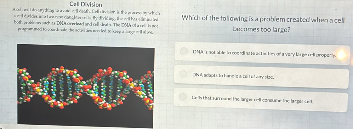 Cell Division
A cell will do anything to avoid cell death. Cell division is the process by which
a cell divides into two new daughter cells. By dividing, the cell has eliminated Which of the following is a problem created when a cell
both problems such as DNA overload and cell death. The DNA of a cell is not becomes too large?
programmed to coordinate the activities needed to keep a large cell alive.
DNA is not able to coordinate activities of a very large cell properly.
DNA adapts to handle a cell of any size.
Cells that surround the larger cell consume the larger cell.