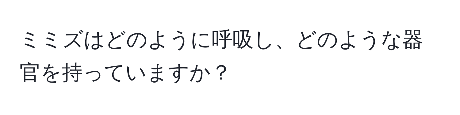 ミミズはどのように呼吸し、どのような器官を持っていますか？