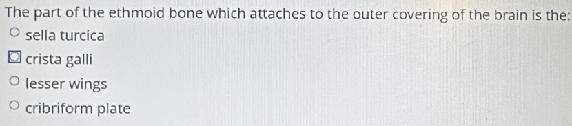The part of the ethmoid bone which attaches to the outer covering of the brain is the:
sella turcica
crista galli
lesser wings
cribriform plate