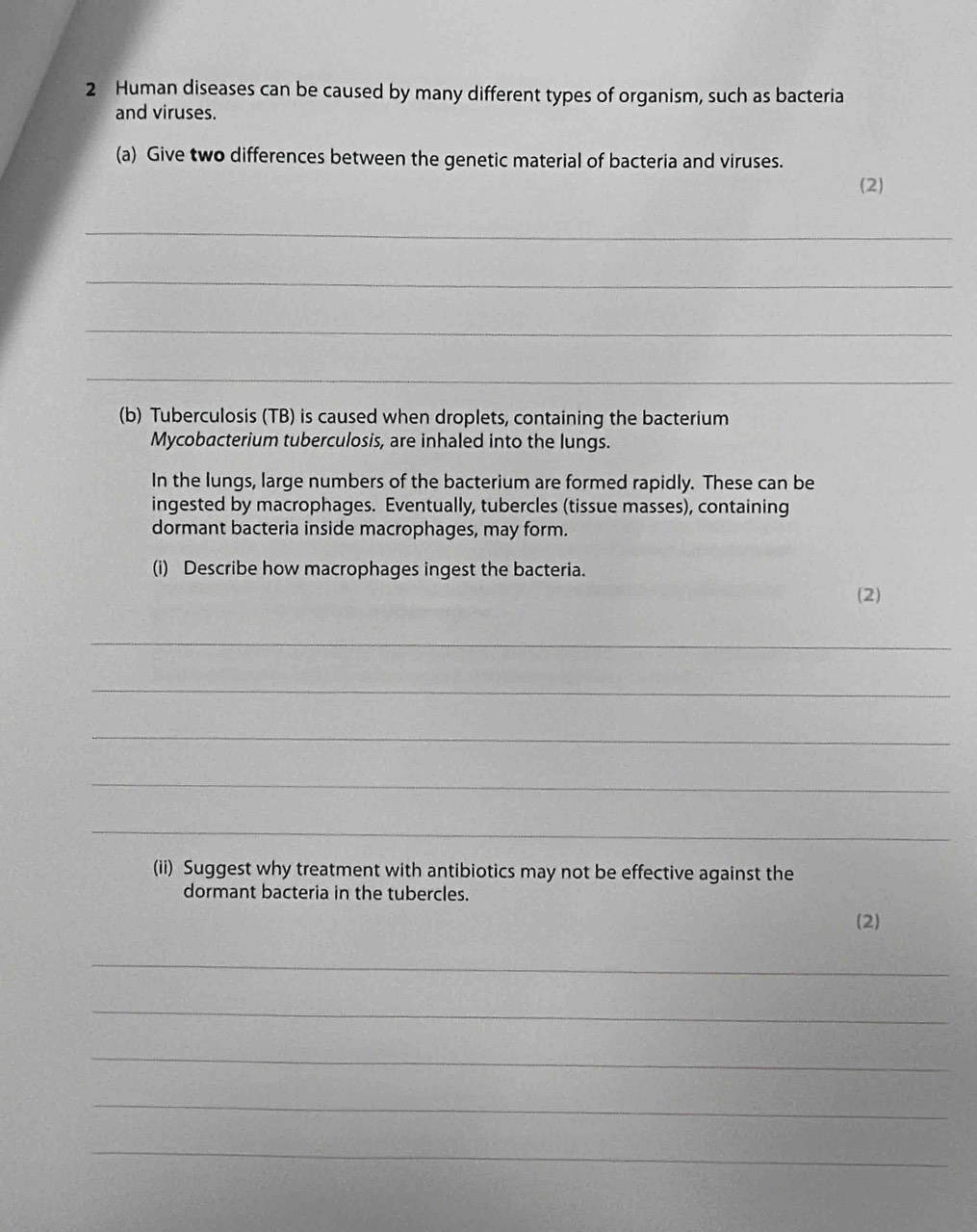 Human diseases can be caused by many different types of organism, such as bacteria 
and viruses. 
(a) Give two differences between the genetic material of bacteria and viruses. 
(2) 
_ 
_ 
_ 
_ 
(b) Tuberculosis (TB) is caused when droplets, containing the bacterium 
Mycobacterium tuberculosis, are inhaled into the lungs. 
In the lungs, large numbers of the bacterium are formed rapidly. These can be 
ingested by macrophages. Eventually, tubercles (tissue masses), containing 
dormant bacteria inside macrophages, may form. 
(i) Describe how macrophages ingest the bacteria. 
(2) 
_ 
_ 
_ 
_ 
_ 
(ii) Suggest why treatment with antibiotics may not be effective against the 
dormant bacteria in the tubercles. 
(2) 
_ 
_ 
_ 
_ 
_