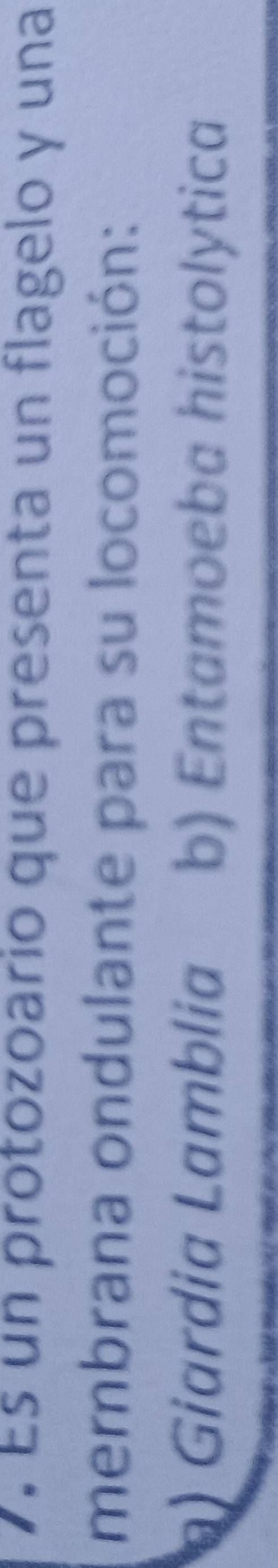 Es un protozoario que presenta un flagelo y una
mernbrana ondulante para su locomoción:
) Giardia Lamblia b) Entamoeba histolytica