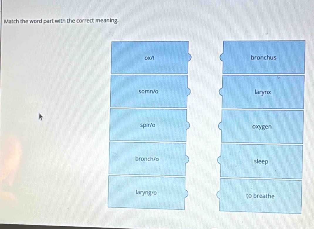Match the word part with the correct meaning.
ox/l bronchus
somn/o larynx
spir/o oxygen
bronch/o
sleep
laryng/o
to breathe