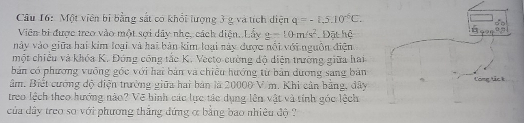 Một viên bi bằng sắt có khối lượng 3 g và tích điện q=-1,5.10^(-6)C. 
Viên bi được treo vào một sợi dây nhẹ, cách diện. Lấy g=10m/s^2 Đặt hệ 
này vào giữa hai kim loại và hai bản kim loại này được nổi với nguồn điện 
một chiều và khóa K. Đóng công tắc K. Vecto cường độ diện trường giữa hai 
bản có phương vuông góc với hai bản và chiều hướng từ bản dương sang bản 
âm. Biết cường độ điện trường giữa hai bản là 20000 V/m. Khi cân bằng, dây 
treo lệch theo hướng nào? Vẽ hình các lực tác dụng lên vật và tính góc lệch 
của dây treo so với phương thăng đứng α bằng bao nhiêu độ ?