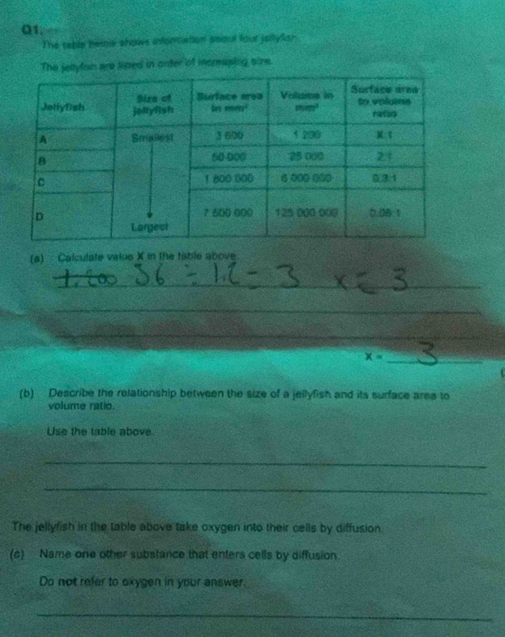a
The table beme shows infortation aoout four jullylion
Theltyfon are limed in order of increaping size.
(a) Calculate value X in the table above
_
_
_
_
_
_ x=
4
(b) Describe the relationship between the size of a jeilyfish and its surface area to
volume ratio.
Use the table above
_
_
The jellyfish in the table above take oxygen into their cells by diffusion
(c) Name one other substance that enters cells by diffusion.
Do not refer to oxygen in your answer.
_