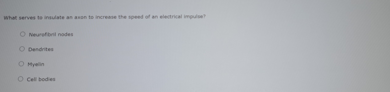 What serves to insulate an axon to increase the speed of an electrical impulse?
Neurofibril nodes
Dendrites
Myelin
Cell bodies