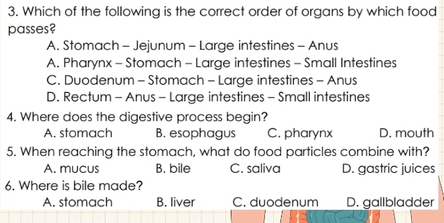 Which of the following is the correct order of organs by which food
passes?
A. Stomach - Jejunum - Large intestines - Anus
A. Pharynx - Stomach - Large intestines - Small Intestines
C. Duodenum - Stomach - Large intestines - Anus
D. Rectum - Anus - Large intestines - Small intestines
4. Where does the digestive process begin?
A. stomach B. esophagus C. pharynx D. mouth
5. When reaching the stomach, what do food particles combine with?
A. mucus B. bile C. saliva D. gastric juices
6. Where is bile made?
A. stomach B. liver C. duodenum D. gallbladder