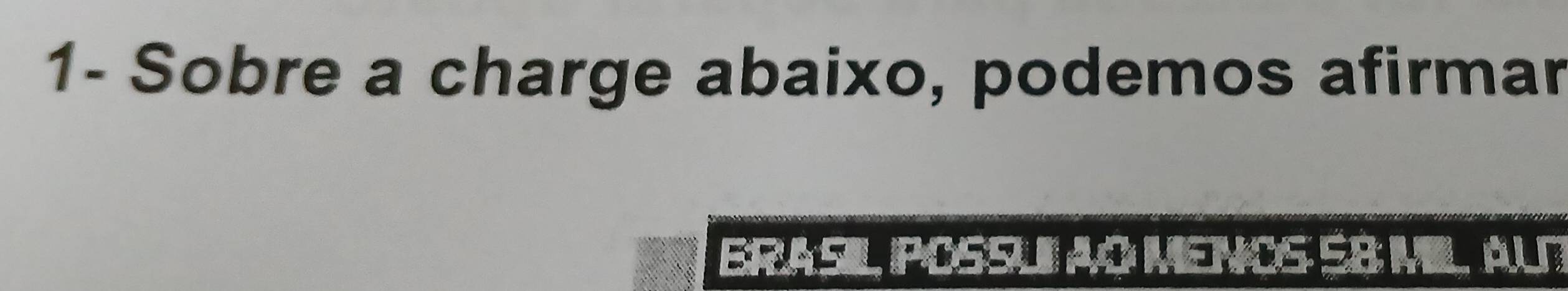 1- Sobre a charge abaixo, podemos afirmar 
BRASIL POSSUII AO MENCS SB MIL ALT