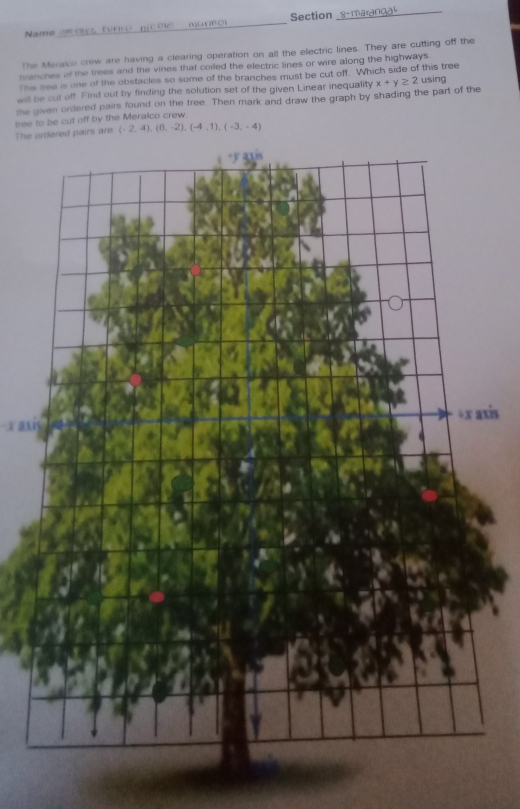 Name moss turio picdie mormos Section 8- maranga¹ 
The Meralco crew are having a clearing operation on all the electric lines. They are cutting off the 
branches of the trees and the vines that coiled the electric lines or wire along the highways. 
This tree is one of the obstacles so some of the branches must be cut off. Which side of this tree 
will be cut off. Find out by finding the solution set of the given Linear inequality 
the given ordered pairs found on the tree. Then mark and draw the graph by shading the part of the x+y≥ 2 using 
tee to be cut off by the Meralco crew. 
The s are (-2,4), (6,-2), (-4,1), (-3,-4)
xis