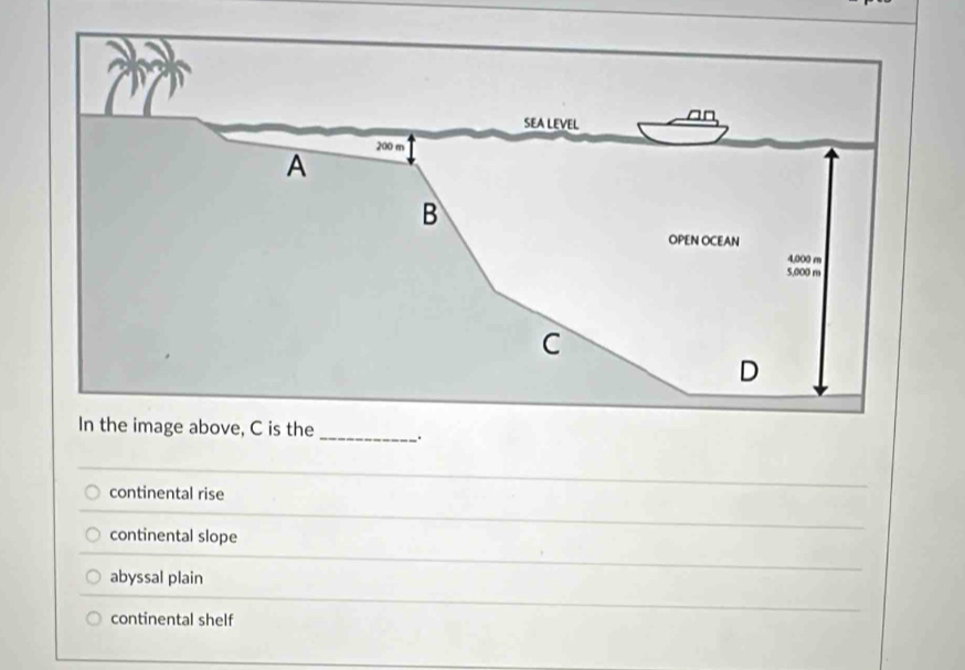 is the _.
continental rise
continental slope
abyssal plain
continental shelf