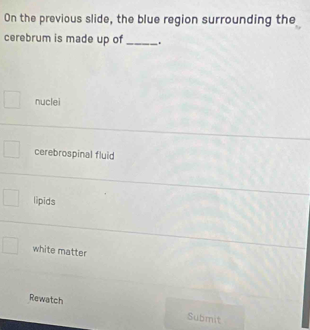 On the previous slide, the blue region surrounding the
cerebrum is made up of _.
nuclei
cerebrospinal fluid
lipids
white matter
Rewatch Submit