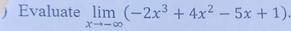 Evaluate limlimits _xto -∈fty (-2x^3+4x^2-5x+1).