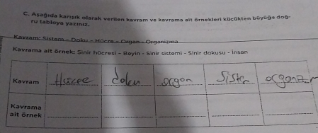 Aşağıda karışık olarak verilen kavram ve kavrama alt örnekleri küçükten büyüğe doğ- 
ru tabloya yazıız. 
Kavram: Sistem - Doku - Hücre - Organ - Organizma 
Kavrama aît ōrnek: Sinir hūcresi - Beyin - Sinir sistemi - Sinir dokusu - İnsan