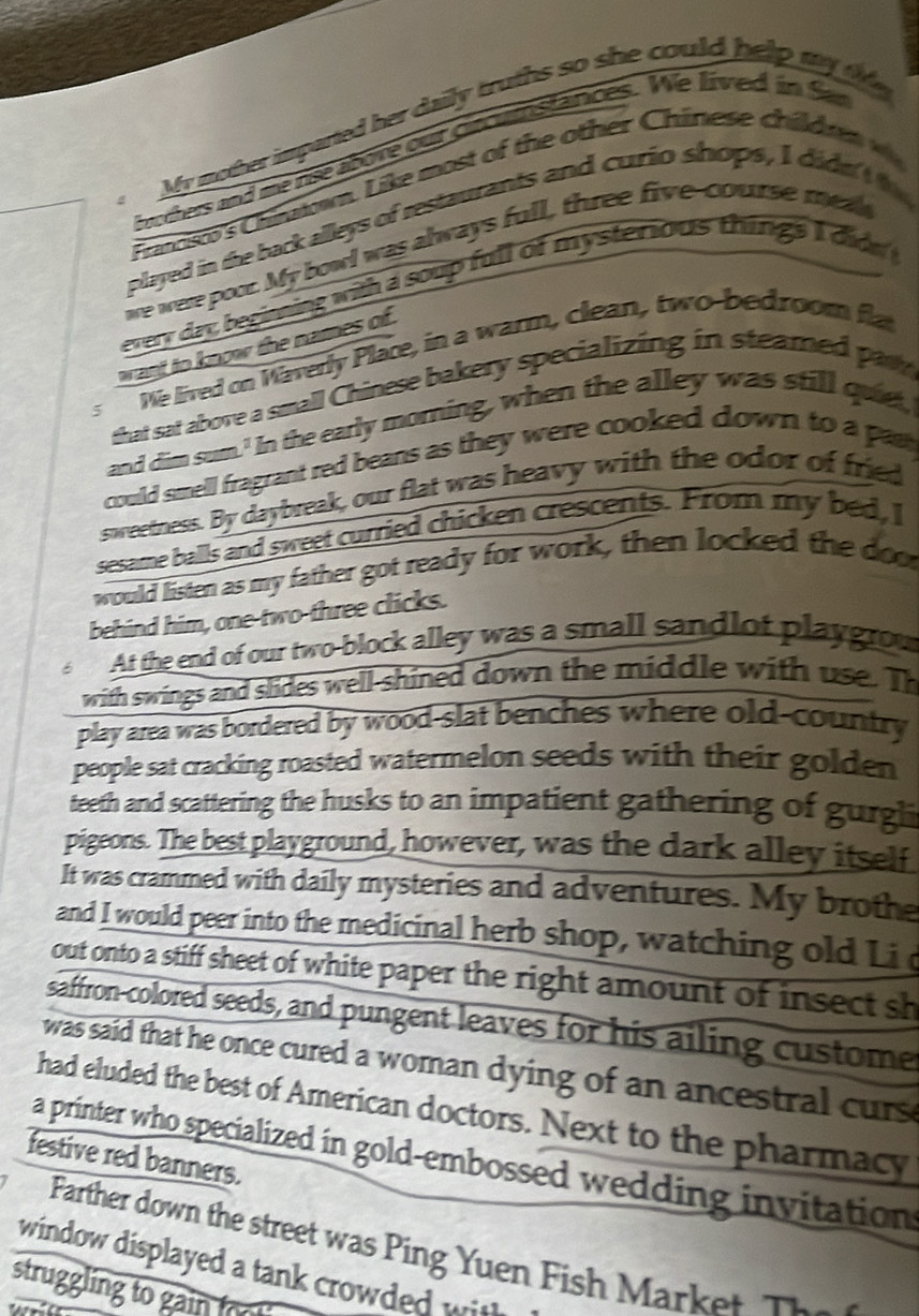 My mother imparted her daily truths so she could help my t 
boothers and me rise above out cacamstances. We lived in Sa 
Francsto's Chinnown. Like most of the other Chinese childr 
played in the back alleys of restaurants and curio shops, I didn 
we were poor. My bowl was always full, three five-course mea 
every day beginning with a soup full of mysterious things I dide 
want to know the names of. 
sWe lived on Waverly Place, in a warm, clean, two-bedroom fla 
that sat above a small Chinese bakery specializing in steamed parr 
and dim sum." In the early morning, when the alley was still que, 
could smell fragrant red beans as they were cooked down to a par 
sweetness. By daybreak, our flat was heavy with the odor of fred 
sesame balls and sweet curried chicken crescents. From my bed, I 
would listen as my father got ready for work, then locked the doo 
behind him, one-two-three clicks. 
6 At the end of our two-block alley was a small sandlot playgrow 
with swings and slides well-shined down the middle with use. Th 
play area was bordered by wood-slat benches where old-country 
people sat cracking roasted watermelon seeds with their golden 
teeth and scattering the husks to an impatient gathering of gurgli 
pigeons. The best playground, however, was the dark alley itself 
It was crammed with daily mysteries and adventures. My brothe 
and I would peer into the medicinal herb shop, watching old Li d 
out onto a stiff sheet of white paper the right amount of insect sh 
saffron-colored seeds, and pungent leaves for his ailing custome 
was said that he once cured a woman dying of an ancestral curs 
had eluded the best of American doctors. Next to the pharmacy 
a printer who specialized in gold-embossed wedding invitation 
festive red banners. 
Farther down the street was Ping Yuen Fish Market The 
window displayed a tank crowded with 
strugglin to gi f