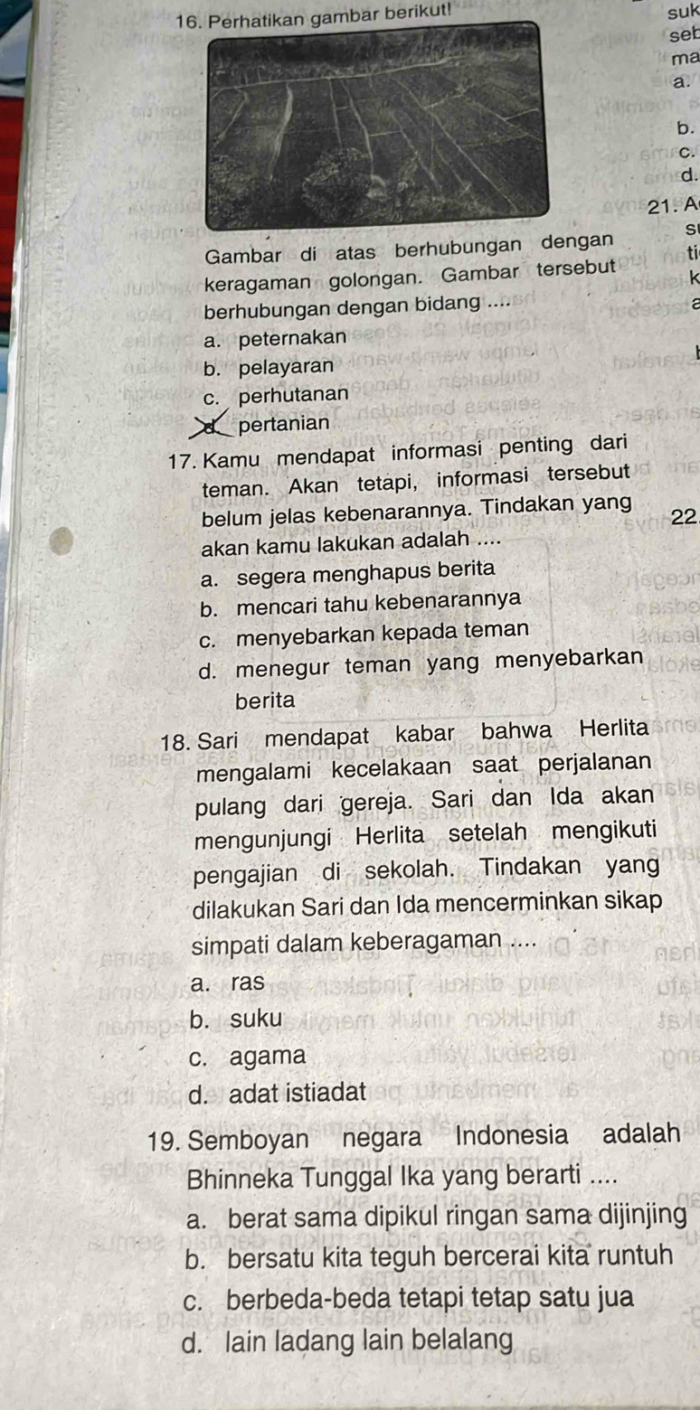 1bar berikut!
suk
seb
ma
a.
b.
C.
d.
21. A
S
Gambar di atas berhubungan dengan ti
keragaman golongan. Gambar tersebut k
berhubungan dengan bidang ....
a. peternakan
b. pelayaran
c. perhutanan
d pertanian
17. Kamu mendapat informasi penting dari
teman. Akan tetapi, informasi tersebut
belum jelas kebenarannya. Tindakan yang 22
akan kamu lakukan adalah ....
a. segera menghapus berita
b. mencari tahu kebenarannya
c. menyebarkan kepada teman
d. menegur teman yang menyebarkan
berita
18. Sari mendapat kabar bahwa Herlita
mengalami kecelakaan saat perjalanan
pulang dari gereja. Sari dan Ida akan
mengunjungi Herlita setelah mengikuti
pengajian di sekolah. Tindakan yang
dilakukan Sari dan Ida mencerminkan sikap
simpati dalam keberagaman ....
a. ras
b. suku
c. agama
d. adat istiadat
19. Semboyan negara Indonesia adalah
Bhinneka Tunggal Ika yang berarti ....
a. berat sama dipikul ringan sama dijinjing
b. bersatu kita teguh bercerai kita runtuh
c. berbeda-beda tetapi tetap satu jua
d. lain ladang lain belalang