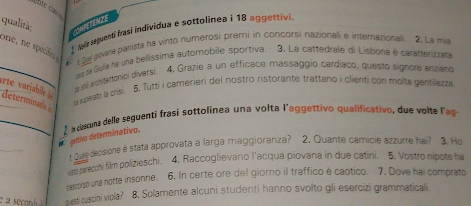 Unte ciaso 
qualità; 
COMPETENZE 
Nelle seguenti frasi individua e sottolinea í 18 aggettivi. 
to t. Quel giovane pianista ha vinto numerosi premi in concorsi nazionali e internazionali. 2. La mia 
cara zia Giulia ha una bellissima automobile sportiva. 3. La cattedrale di Lisbona è caratterizzata 
irte variabile da stili architettonici diversi. 4. Grazie a un efficace massaggio cardiaco, questo signore anziano 
determinarlo ha superato la crisi. 5. Tutti i camerieri del nostro ristorante trattano i clienti con molta gentilezza 
2 In ciascuna delle seguenti frasi sottolinea una volta l’aggettivo qualificativo, due volte l'ag- 
gettivo determinativo. 
1. Quale decisione è stata approvata a larga maggioranza? 2. Quante camicie azzurre hai? 3. Ho 
visto parecchi film polizieschi. 4. Raccoglievano l’acqua piovana in due catini. 5. Vostro nipote ha 
trascorso una notte insonne. 6. In certe ore del giorno il traffico è caotico. 7. Dove hai comprato 
guesti cuscini viola? 8. Solamente alcuni studenti hanno svolto gli esercizi grammaticali.