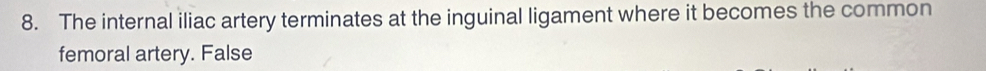 The internal iliac artery terminates at the inguinal ligament where it becomes the common
femoral artery. False