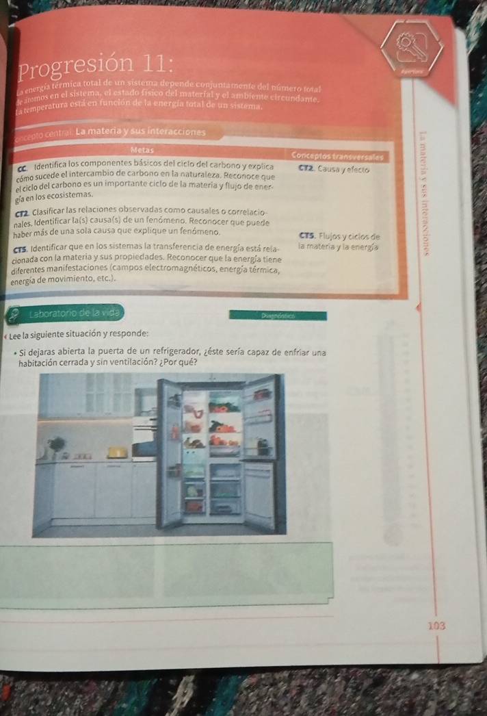 Progresión 11: 
La energía térmica total de un sistema depende conjuntamente del número total 
leammos en el sistema, el estado físico del material y el ambiente eircundante. 
La temperatura está en función de la energía total de un sistema 
oncepto central. La materia y sus interacciones 
Metas Conceptos transversales 
cidentifica los componentes básicos del ciclo del carbono y explica CT2. Causa y efecio 
cómo sucede el intercambio de carbono en la naturaleza. Reconoce que 
el ciclo del carbono es un importante ciclo de la matería y flujo de ener 
gía en los ecosistemas. 
cr2. Clasificar las relaciones observadas como causales o correlacio 
nales, Identificar la(s) causa(s) de un fenómeno. Reconocer que puede 
haber más de una sola causa que explique un fenómeno. CTS. Flujos y cíclos de 
CTS. Identificar que en los sistemas la transferencia de energía está rela- la matería y la energía 
cionada con la materia y sus propiedades. Reconocer que la energía tiene 
diferentes manifestaciones (campos electromagnéticos, energía térmica, 
energía de movimiento, etc.). 
Laboratorio de la vida Disgndnte 
« Lee la siguiente situación y responde: 
o Si dejaras abierta la puerta de un refrigerador, ¿éste sería capaz de enfriar una 
habitación cerrada y sin ventilación? ¿Por qué? 
103