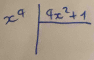 x^4|frac 4x^2+1