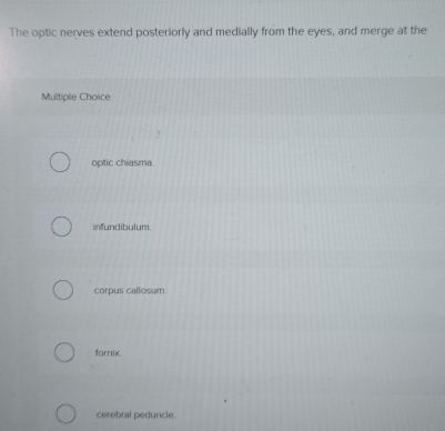 The optic nerves extend posteriorly and medially from the eyes, and merge at the
Multiple Choice
optic chiasma
infundibulum.
corpus callosum
fornix.
cerebral peduncle.