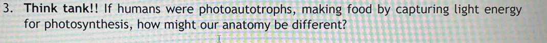 Think tank!! If humans were photoautotrophs, making food by capturing light energy 
for photosynthesis, how might our anatomy be different?