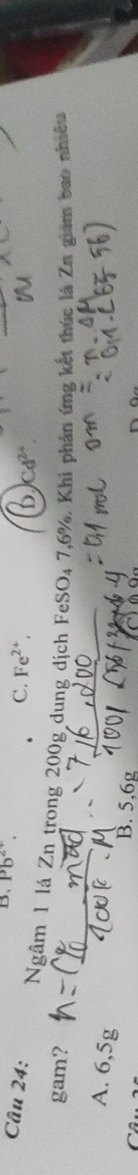 B、 Pb^(2+). 
Câu 24: C. Fe^(2+).
Cd^(24)
Ngâm 1 lá Zn trong 200g dung dịch FeSO₄ 7,6%. Khi phân ứng kết thúc lá Zn giám bao nhiều
gam?
A. 6,5g
B. 5, 6g