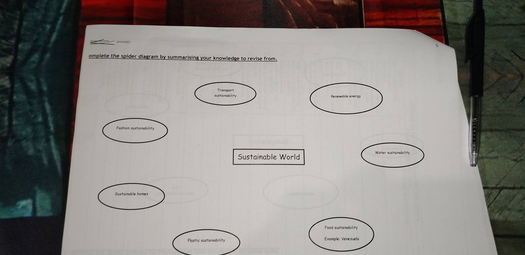 omplete the spider diagram by summarising your knowledge to revise from. 
Transport 
sustainability Renewable energy 
Fashion sustainability 
Water sustainability 
Sustainable World 
Sustainable homes 
Food sustainability 
Plastic sustainability Example: Venezuela