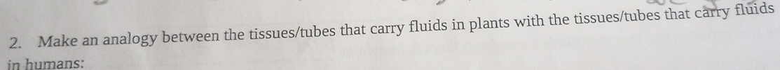 Make an analogy between the tissues/tubes that carry fluids in plants with the tissues/tubes that carry fluids 
in humans: