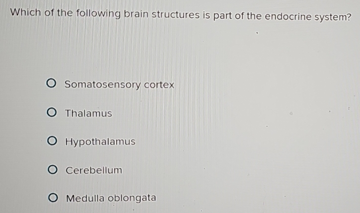 Which of the following brain structures is part of the endocrine system?
Somatosensory cortex
Thalamus
Hypothalamus
Cerebellum
Medulla oblongata