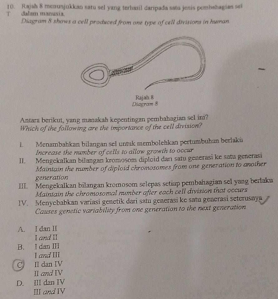 Rajah 8 menunjukkan satu sel yang terhasil daripada satu jenis pembahagian sei
T dalam manusia.
Diagram 8 shows a cell produced from one type of cell divisions in human
Antara berikut, yang manakah kepentingan pembahagian sel ini?
Which of the following are the importance of the cell division?
1. Menambahkan bilangan sel untuk membolehkan pertumbuhan berlakü
Increase the number of cells to allow growth to occur
II. Mengekalkan bilangan kromosom diploid dari satu generasi ke satu generasi
Maintain the number of diploid chromosomes from one generation to another
generation
III. Mengekalkan bilangan kromosom selepas setiap pembahagian sel yang berlaku
Maintain the chromosomal number after each cell division that occurs
IV. Menyebabkan variasi genetik dari satu generasi ke satu generasi seterusnya
Causes genetic variability from one generation to the next generation
A. I dan II
I and II
B. I dan III
I and III
C. II dan IV
Ⅱ andⅣV
D. III dan IV
ⅢIandIV