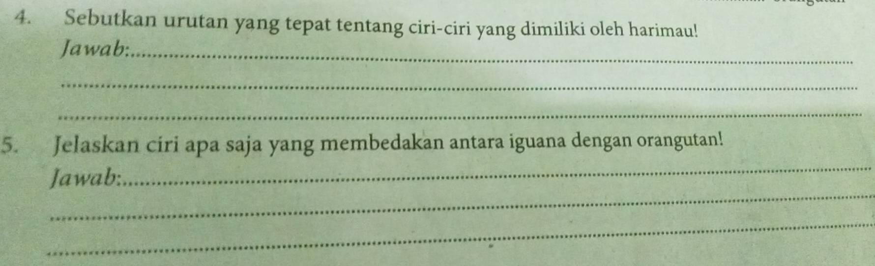 Sebutkan urutan yang tepat tentang ciri-ciri yang dimiliki oleh harimau! 
Jawab:_ 
_ 
_ 
_ 
5. Jelaskan ciri apa saja yang membedakan antara iguana dengan orangutan! 
_ 
Jawab: 
_