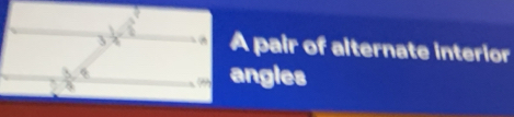 A pair of alternate interior 
angles