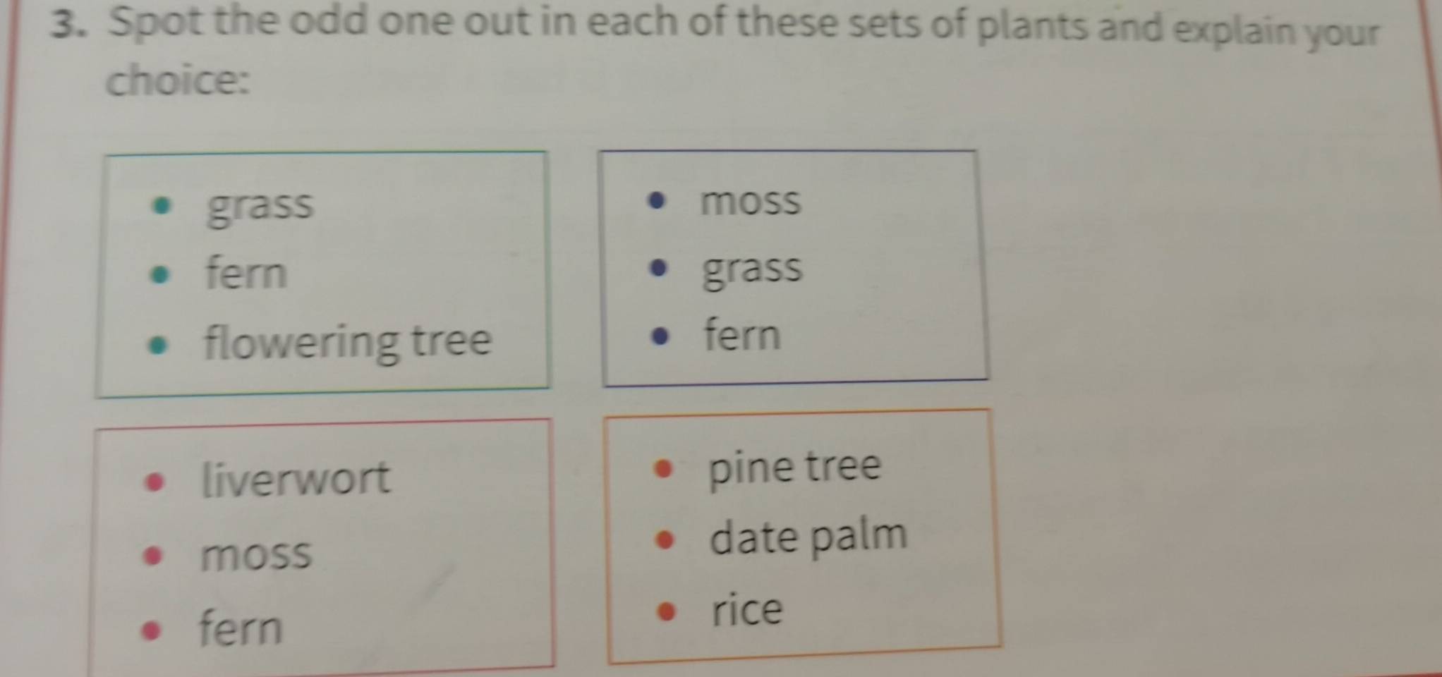 Spot the odd one out in each of these sets of plants and explain your 
choice: 
grass 
moss 
fern grass 
flowering tree 
fern 
liverwort pine tree 
moss 
date palm 
fern 
rice