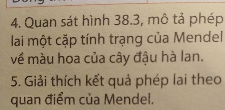 Quan sát hình 38.3, mô tả phép 
lai một cặp tính trạng của Mendel 
về màu hoa của cây đậu hà lan. 
5. Giải thích kết quả phép lai theo 
quan điểm của Mendel.