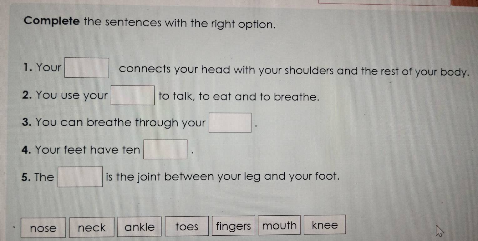 Complete the sentences with the right option.
1. Your connects your head with your shoulders and the rest of your body.
2. You use your to talk, to eat and to breathe.
3. You can breathe through your
4. Your feet have ten
5. The is the joint between your leg and your foot.
nose neck ankle toes fingers mouth knee