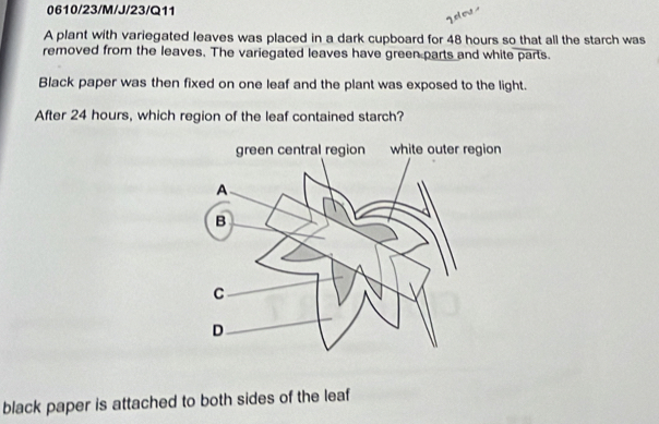 0610/23/M/J/23/Q11
A plant with variegated leaves was placed in a dark cupboard for 48 hours so that all the starch was
removed from the leaves. The variegated leaves have green parts and white parts.
Black paper was then fixed on one leaf and the plant was exposed to the light.
After 24 hours, which region of the leaf contained starch?
black paper is attached to both sides of the leaf