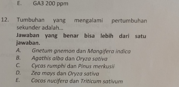 E. GA3 200 ppm
12. Tumbuhan yang mengalami pertumbuhan
sekunder adalah...
Jawaban yang benar bisa lebih dari satu
jawaban.
A. Gnetum gnemon dan Mangifera indica
B. Agathis alba dən Oryza sativa
C. Cycas rumphi dan Pinus merkusii
D. Zea mays dan Oryza sativa
E. Cocos nucifera dan Triticum sativum