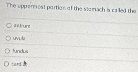 The uppermost portion of the stomach is called the
antrum
uvula
fundus
cardia