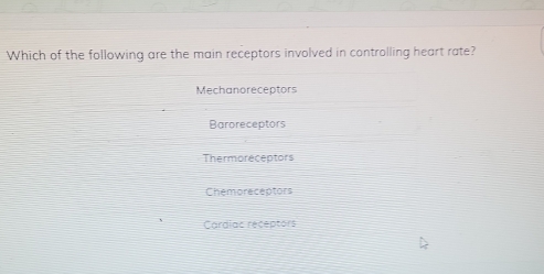 Which of the following are the main receptors involved in controlling heart rate?
Mechanoreceptors
Baroreceptors
Thermoreceptors
Chemoreceptors
Cardiac receptors