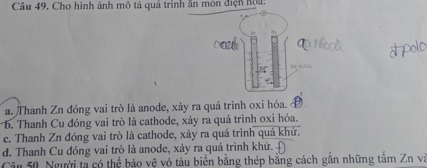 Cho hình ảnh mô tả quá trình ăn mòn điện hoa:
a. Thanh Zn đóng vai trò là anode, xảy ra quá trình oxi hóa.
b. Thanh Cu đóng vai trò là cathode, xảy ra quá trình oxi hóa.
c. Thanh Zn đóng vai trò là cathode, xảy ra quá trình quá khử.
d. Thanh Cu đóng vai trò là anode, xảy ra quá trình khử.
Câu 50. Người ta có thể bảo vệ vỏ tàu biển bằng thép bằng cách gắn những tấm Zn và