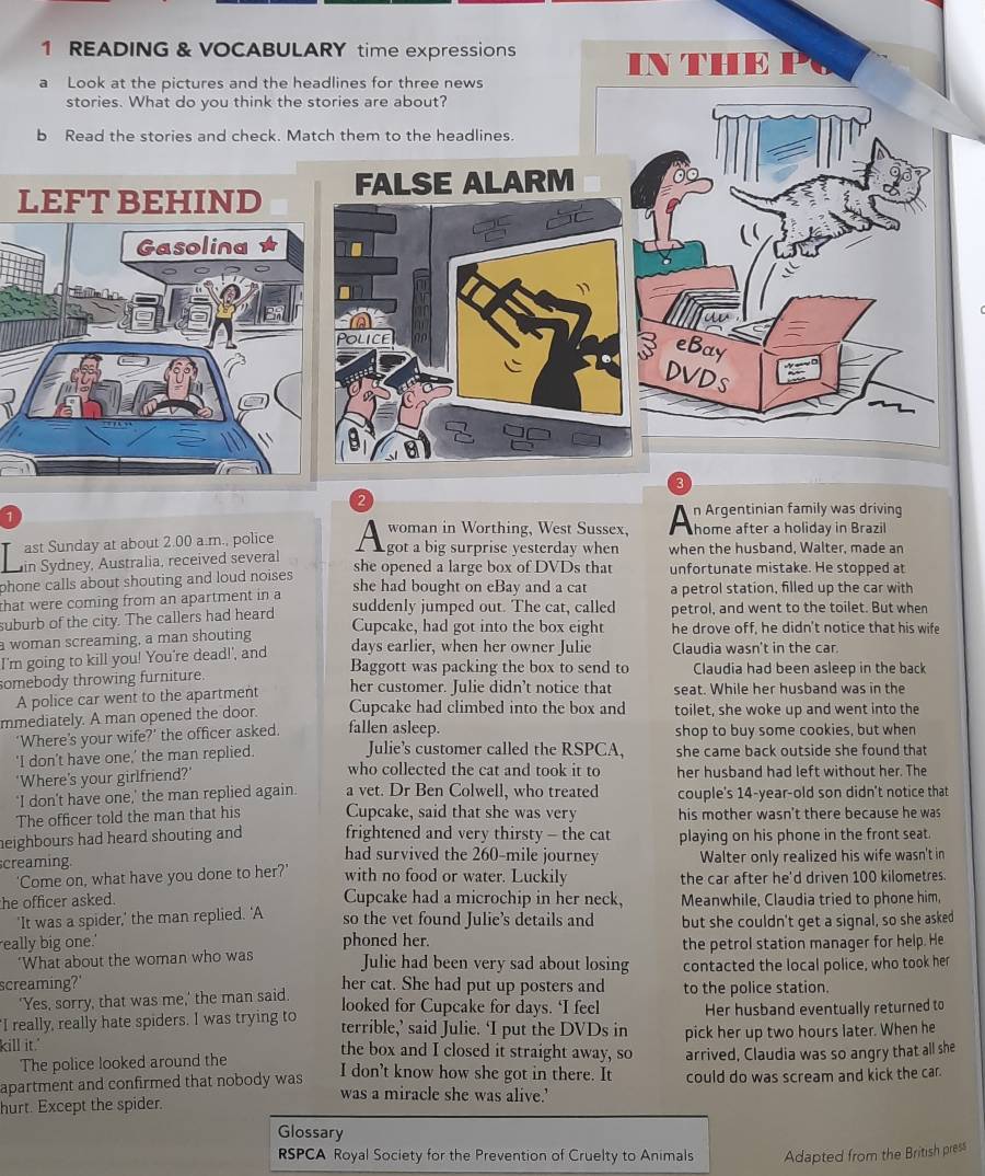 READING & VOCABULARY time expressions IN THE PC
a Look at the pictures and the headlines for three news
stories. What do you think the stories are about?
b Read the stories and check. Match them to the headlines.
FALSE ALARM
olice 2o
. eBay
a DVDs
3
2
n Argentinian family was driving
woman in Worthing, West Sussex, A hore after a holiday in Brazil
ast Sunday at about 2.00 a.m., police   
in Sydney, Australia, received several got a big surprise yesterday when when the husband, Walter, made an
phone calls about shouting and loud noises . she opened a large box of DVDs that unfortunate mistake. He stopped at
she had bought on eBay and a cat a petrol station, filled up the car with
that were coming from an apartment in a suddenly jumped out. The cat, called petrol, and went to the toilet. But when
suburb of the city. The callers had heard
Cupcake, had got into the box eight he drove off, he didn't notice that his wife
a woman screaming, a man shouting days earlier, when her owner Julie Claudia wasn't in the car
I'm going to kill you! You're dead!', and Baggott was packing the box to send to Claudia had been asleep in the back
somebody throwing furniture.
A police car went to the apartment her customer. Julie didn’t notice that seat. While her husband was in the
mmediately. A man opened the door. Cupcake had climbed into the box and toilet, she woke up and went into the
‘Where’s your wife?’ the officer asked. fallen asleep. shop to buy some cookies, but when
Julie’s customer called the RSPCA,
‘I don’t have one,’ the man replied. who collected the cat and took it to she came back outside she found that
'Where's your girlfriend?' her husband had left without her. The
‘I don't have one,' the man replied again. a vet. Dr Ben Colwell, who treated couple's 14-year-old son didn't notice that
The officer told the man that his Cupcake, said that she was very his mother wasn't there because he was
heighbours had heard shouting and frightened and very thirsty - the cat playing on his phone in the front seat.
had survived the 260-mile journey Walter only realized his wife wasn't in
creaming. with no food or water. Luckily the car after he'd driven 100 kilometres
'Come on, what have you done to her?'
he officer asked. Cupcake had a microchip in her neck, Meanwhile, Claudia tried to phone him,
'It was a spider,' the man replied. 'A so the vet found Julie’s details and
eally big one.' phoned her. but she couldn't get a signal, so she asked
the petrol station manager for help. He
“What about the woman who was Julie had been very sad about losing contacted the local police, who took her
screaming?' her cat. She had put up posters and to the police station.
'Yes, sorry, that was me,' the man said. looked for Cupcake for days. ‘I feel
"I really, really hate spiders. I was trying to terrible,’ said Julie. ‘I put the DVDs in Her husband eventually returned to
kill it." pick her up two hours later. When he
the box and I closed it straight away, so
The police looked around the arrived, Claudia was so angry that all she
apartment and confirmed that nobody was I don’t know how she got in there. It could do was scream and kick the car.
was a miracle she was alive.’
hurt. Except the spider.
Glossary
RSPCA Royal Society for the Prevention of Cruelty to Animals Adapted from the British press