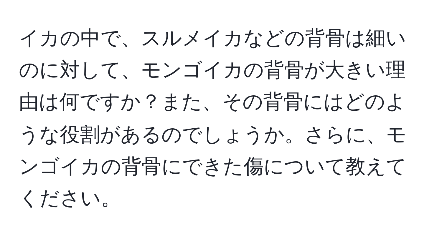 イカの中で、スルメイカなどの背骨は細いのに対して、モンゴイカの背骨が大きい理由は何ですか？また、その背骨にはどのような役割があるのでしょうか。さらに、モンゴイカの背骨にできた傷について教えてください。