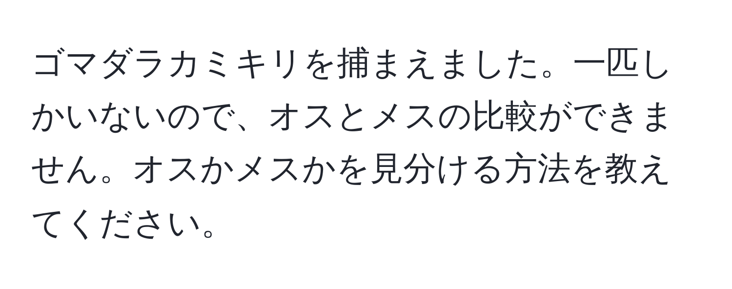 ゴマダラカミキリを捕まえました。一匹しかいないので、オスとメスの比較ができません。オスかメスかを見分ける方法を教えてください。