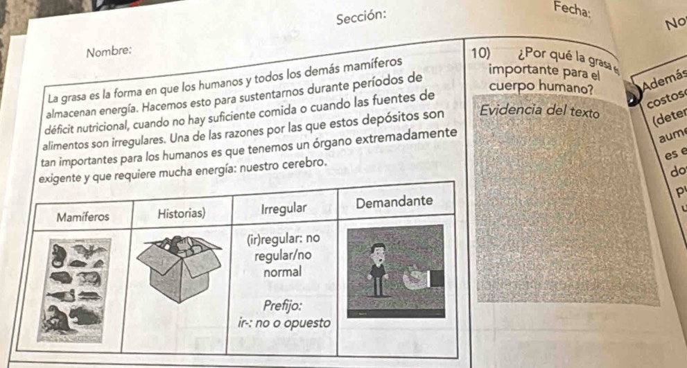 Sección: 
Fecha: No 
Nombre: 
La grasa es la forma en que los humanos y todos los demás mamíferos 
10) ¿Por qué la grasa 
almacenan energía. Hacemos esto para sustentarnos durante períodos de 
importante para el 
Además 
déficit nutricional, cuando no hay suficiente comida o cuando las fuentes de 
cuerpo humano? 
costos 
alimentos son irregulares. Una de las razones por las que estos depósitos son Evidencia del texto (deter 
tan importantes para los humanos es que tenemos un órgano extremadamente 
aum 
es e 
ha energía: nuestro cerebro. 
do 
P