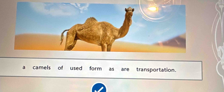 a camels of used form as are transportation.