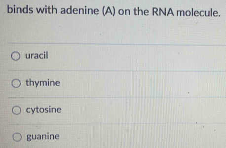 binds with adenine (A) on the RNA molecule.
uracil
thymine
cytosine
guanine