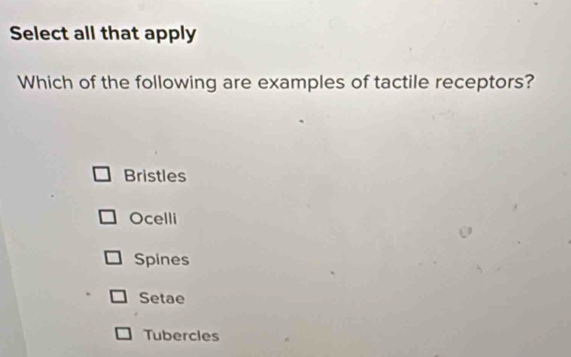 Select all that apply
Which of the following are examples of tactile receptors?
Bristles
Ocelli
Spines
Setae
Tubercles