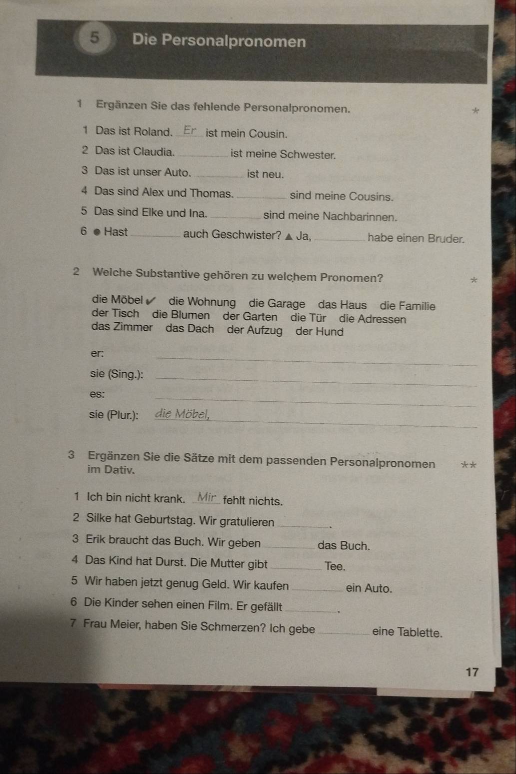 Die Personalpronomen 
1 Ergänzen Sie das fehlende Personalpronomen. 
* 
1 Das ist Roland. _ist mein Cousin. 
2 Das ist Claudia. _ist meine Schwester. 
3 Das ist unser Auto. _ist neu. 
4 Das sind Alex und Thomas. _sind meine Cousins. 
5 Das sind Elke und Ina. _sind meine Nachbarinnen. 
6 ● Hast_ auch Geschwister? ▲ Ja, _habe einen Bruder. 
2 Welche Substantive gehören zu welchem Pronomen? 
* 
die Möbel die Wohnung die Garage das Haus die Familie 
der Tisch die Blumen der Garten die Tür die Adressen 
das Zimmer das Dach der Aufzug der Hund 
er: 
_ 
sie (Sing.):_ 
es: 
_ 
_ 
sie (Plur.): die Möbel, 
3 Ergänzen Sie die Sätze mit dem passenden Personalpronomen ** 
im Dativ. 
1 Ich bin nicht krank. _fehlt nichts. 
2 Silke hat Geburtstag. Wir gratulieren_ 
3 Erik braucht das Buch. Wir geben _das Buch. 
4 Das Kind hat Durst. Die Mutter gibt _Tee. 
5 Wir haben jetzt genug Geld. Wir kaufen _ein Auto. 
6 Die Kinder sehen einen Film. Er gefällt_ 
7 Frau Meier, haben Sie Schmerzen? Ich gebe_ eine Tablette. 
17